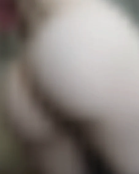 Lina, 23 Jahre — reife frauen in Emden